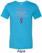 Support Pancreatic Cancer Awareness Tri Blend Tee