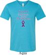 Support Pancreatic Cancer Awareness Tri Blend V-neck