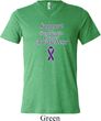 Support Pancreatic Cancer Awareness Tri Blend V-neck