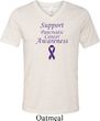 Support Pancreatic Cancer Awareness Tri Blend V-neck