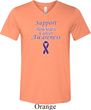 Support Pancreatic Cancer Awareness Tri Blend V-neck