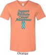 Support Prostate Cancer Awareness Tri Blend V-neck