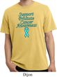 Support Prostate Cancer Pigment Dyed T-shirt