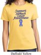 Support Stomach Cancer Awareness Ladies T-shirt