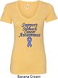 Support Stomach Cancer Awareness Ladies V-Neck