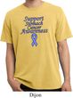 Support Stomach Cancer Awareness Pigment Dyed Shirt