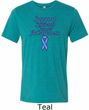 Support Stomach Cancer Awareness Tri Blend Tee