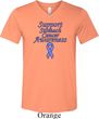 Support Stomach Cancer Awareness Tri Blend V-neck