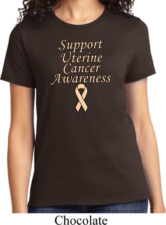 Support Uterine Cancer Awareness Ladies T-shirt