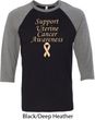 Support Uterine Cancer Awareness Raglan Shirt