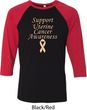 Support Uterine Cancer Awareness Raglan Shirt