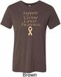 Support Uterine Cancer Awareness Tri Blend Tee