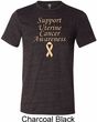 Support Uterine Cancer Awareness Tri Blend Tee