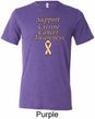 Support Uterine Cancer Awareness Tri Blend Tee