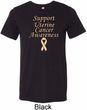 Support Uterine Cancer Awareness Tri Blend Tee
