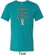 Support Uterine Cancer Awareness Tri Blend Tee