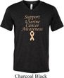 Support Uterine Cancer Awareness Tri Blend V-neck