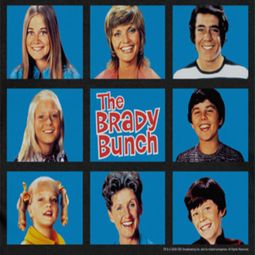 The Brady Bunch Framed Shirts