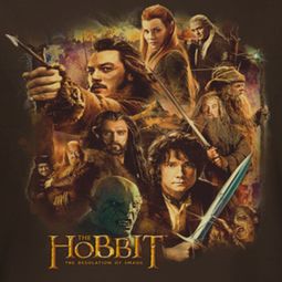 The Hobbit Desolation Of Smaug Middle Earth Group Shirts