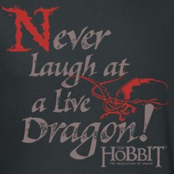 The Hobbit Desolation Of Smaug Never Laugh Shirts
