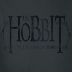 The Hobbit Desolation Of Smaug Ornate Logo Shirts