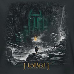 The Hobbit Desolation Of Smaug Second Thoughts Shirts
