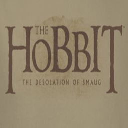 The Hobbit Desolation Of Smaug Textured Logo Shirts