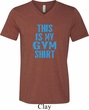 This Is My Gym Shirt Mens Tri Blend V-neck Shirt