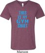 This Is My Gym Shirt Mens Tri Blend V-neck Shirt