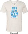This Is My Gym Shirt Mens Tri Blend V-neck Shirt