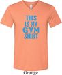 This Is My Gym Shirt Mens Tri Blend V-neck Shirt