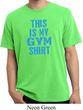 This Is My Gym Shirt Pigment Dyed Shirt