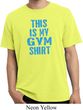 This Is My Gym Shirt Pigment Dyed Shirt
