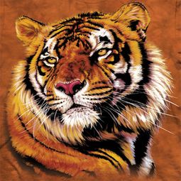 Tiger Shirts