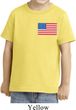 US Flag Pocket Print Toddler Shirt