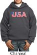 USA 3D Kids Hoody