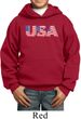 USA 3D Kids Hoody