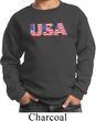 USA 3D Kids Sweat Shirt