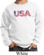 USA 3D Kids Sweat Shirt