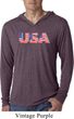 USA 3D Lightweight Hoodie Shirt