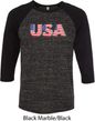 USA 3D Mens Raglan Shirt