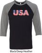 USA 3D Mens Raglan Shirt