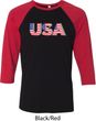 USA 3D Mens Raglan Shirt