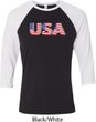 USA 3D Mens Raglan Shirt