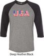 USA 3D Mens Raglan Shirt