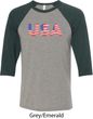 USA 3D Mens Raglan Shirt