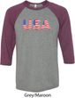 USA 3D Mens Raglan Shirt