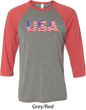 USA 3D Mens Raglan Shirt