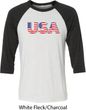 USA 3D Mens Raglan Shirt