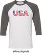 USA 3D Mens Raglan Shirt